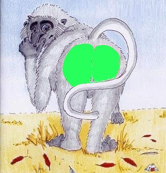 Was meint Ihr, lohnt sich der einstig hier? 402729