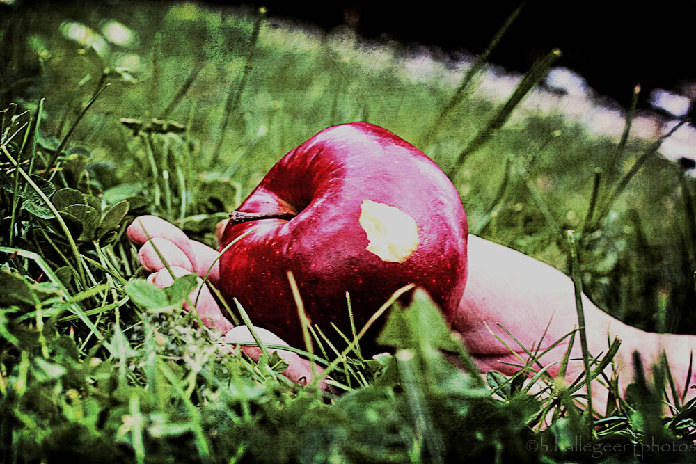 AMC Entertainment Holdings 2.0 - Todamoon?!? 1284837