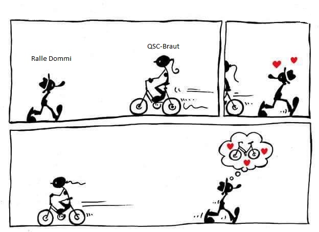 QSC vor Neubewertung 1122838