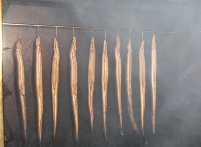 Injex AG - Wahrheit und Träumerei 550542