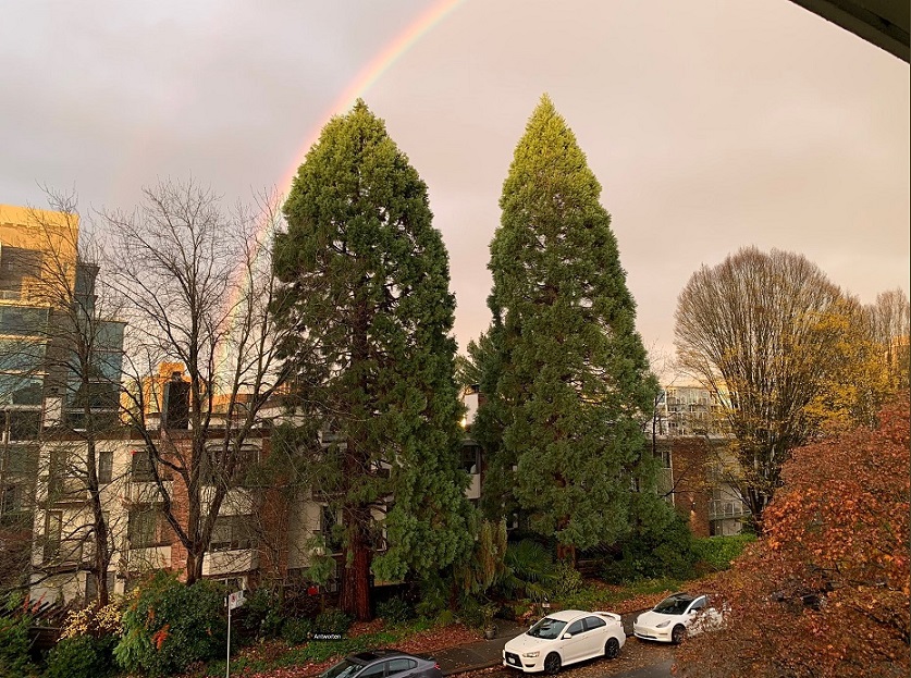 Nano One - Lithium läuft, die auch bald? 1358379