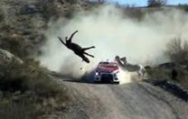 Elliott Wave DAX daily 880287