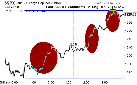 Der USA Bären-Thread 896893