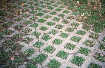 Bürger sollen für Regen bezahlen! 172401