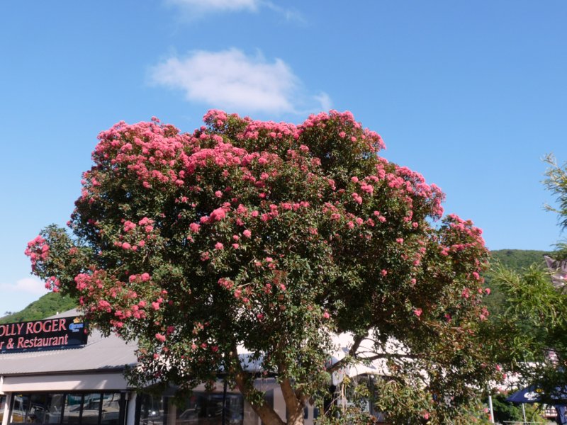 Banken in der Euro - Zone 587445