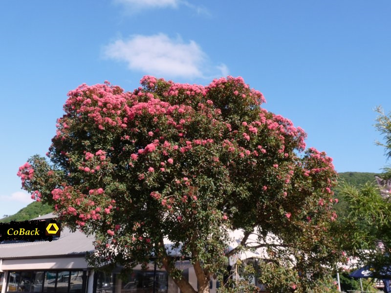 Banken in der Euro - Zone 588597