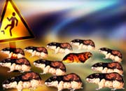 Q-Cells , der Solarzellenriese 203708