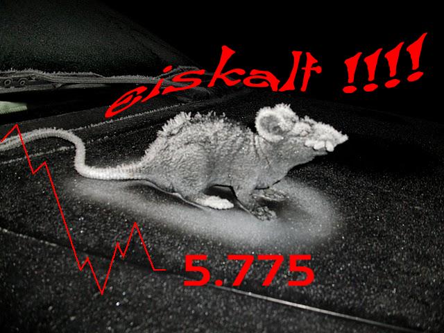 1.210.DAX Tipp-Spiel, Montag, 18.01.10 291844