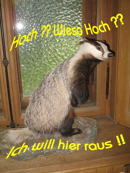 1.428.DAX Tipp-Spiel, Montag, 22.11.10 359840