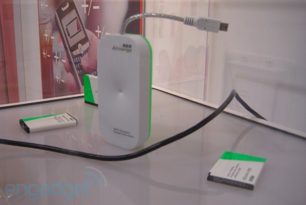 Der USA Bären-Thread 290708