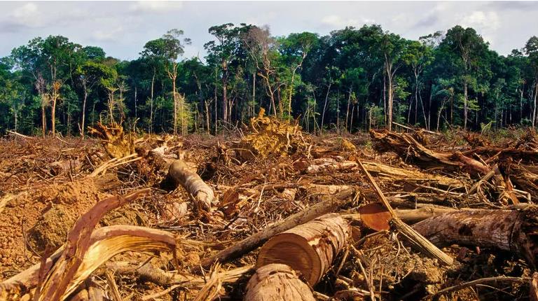 WDI Forum für Verantwortungsbewusste 1174496