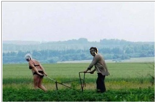 QV ultimate 2012 562687