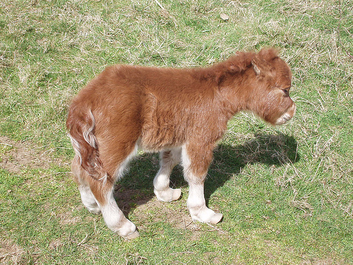 Was meint Ihr, lohnt sich der einstig hier? 424763