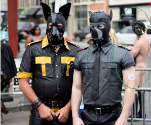 QV ultimate 2012 561646