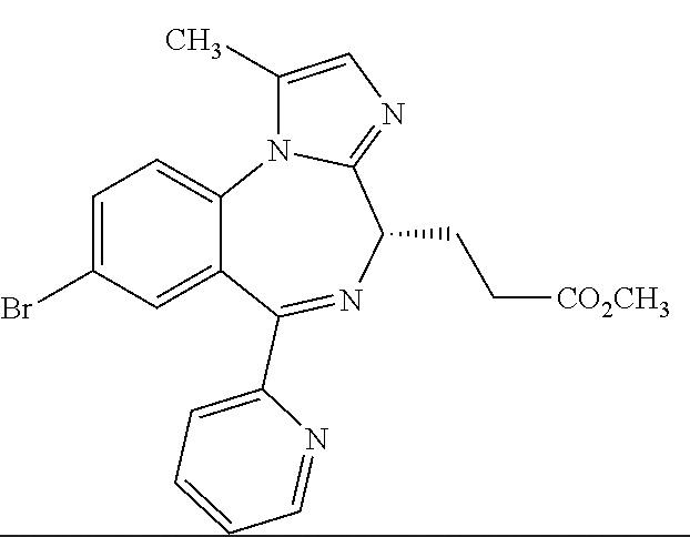 PAION Eine Fledermaus lernt wieder fliegen 714774
