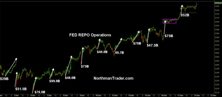 Der USA Bären-Thread 1154573