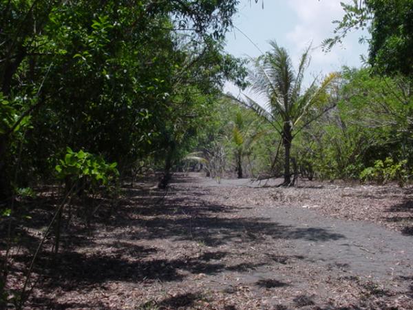 Indo Mines, mehere Giga-Projekte am Laufen 407390