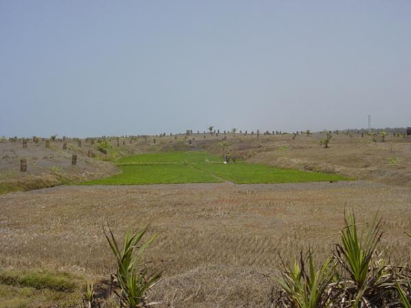 Indo Mines, mehere Giga-Projekte am Laufen 407391