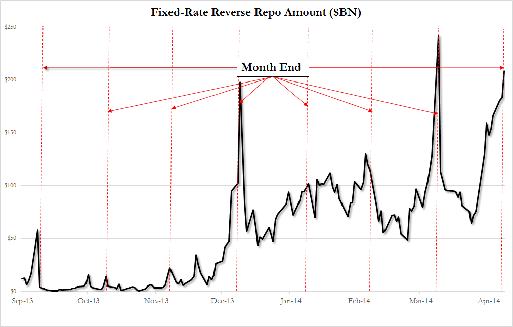 Der USA Bären-Thread 719129