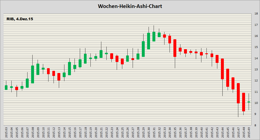 RIB Software AG 876413