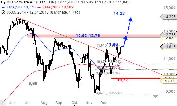 RIB Software AG 788816