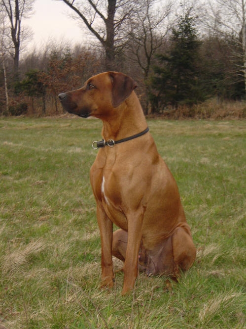 Aqua Society neuer Hype?? 375838