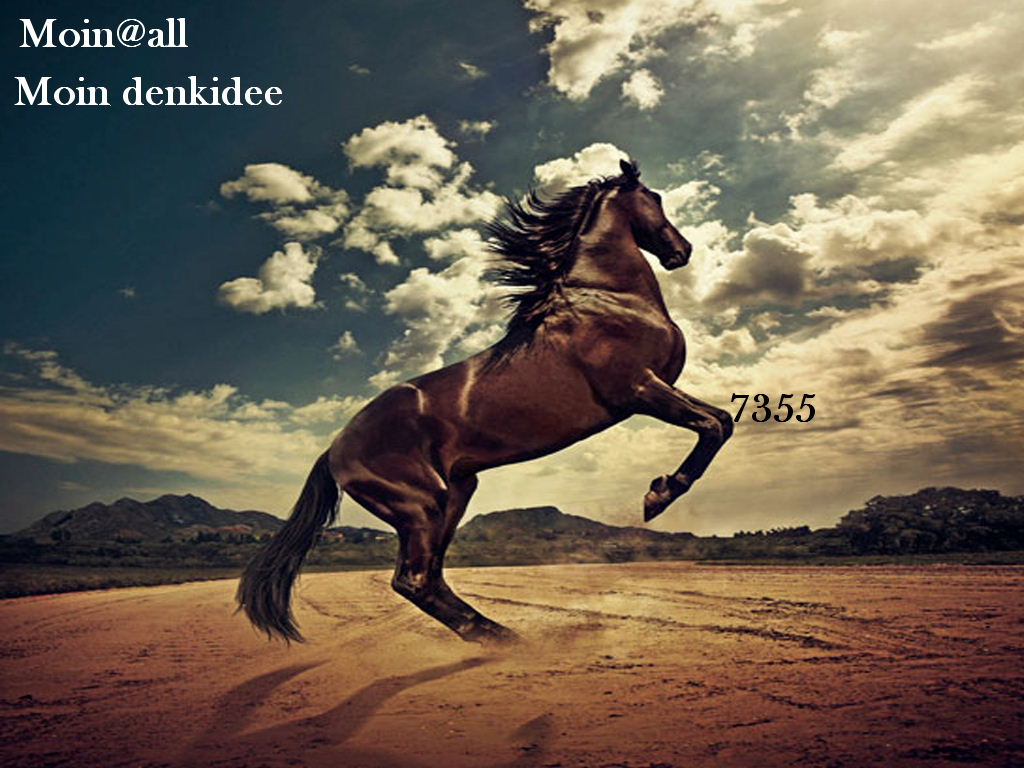 1.552.DAX Tipp-Spiel, Donnerstag, 19.05.11 404474