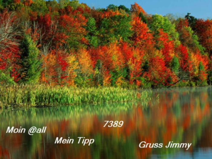 601.DAX Tipp-Spiel, Dienstag, 21.08.07 115959