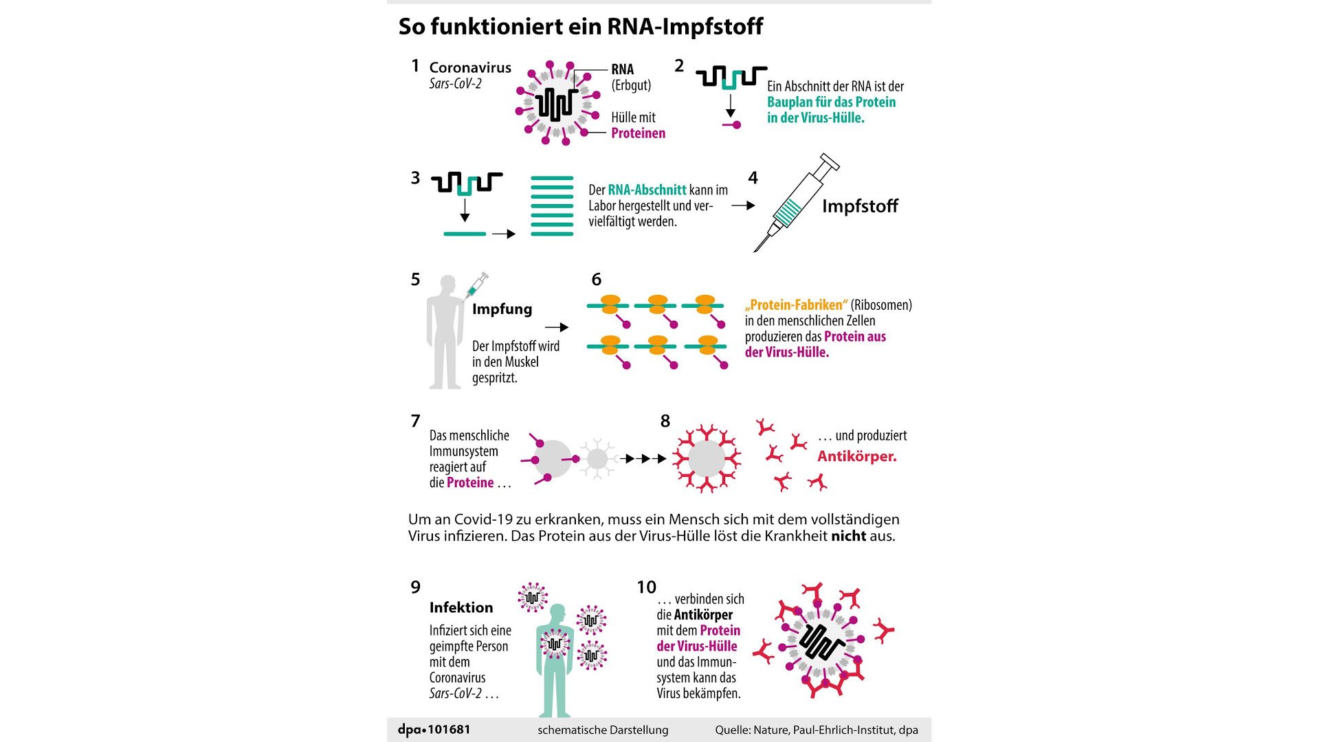 Biontech & MRNA: Revolution in der Pharmaindustrie 1215654