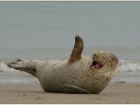 S H O R T 50.000 Premiere Aktien 205966