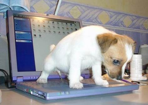 Quo Vadis Dax 2011 - All Time High? 471931