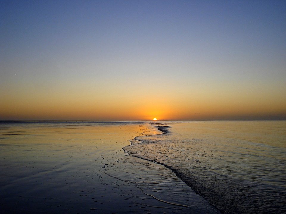 Telegate: 100 Millionen Euro in Reichweite - Divid 385134