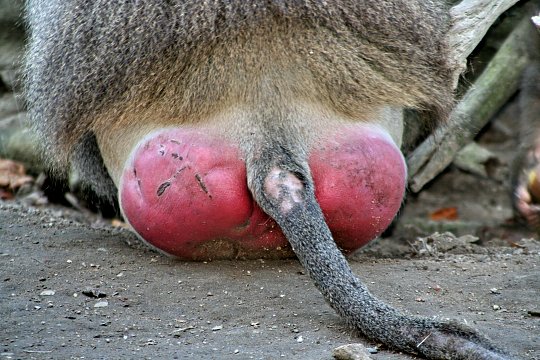 Was meint Ihr, lohnt sich der einstig hier? 404927