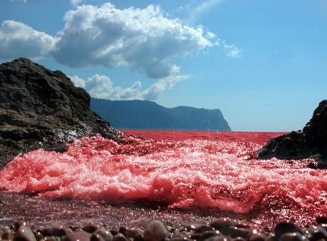 VG Gold ( ISIN: CA9182161021 ) 177938