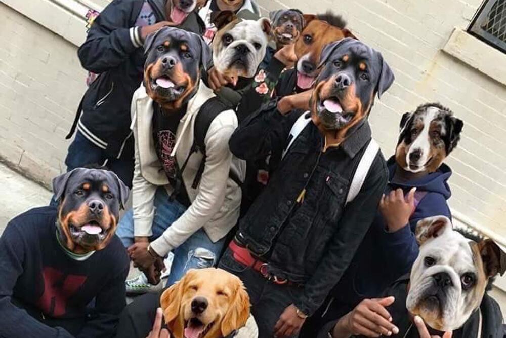 q-loud & die neue QSC AG 1510391