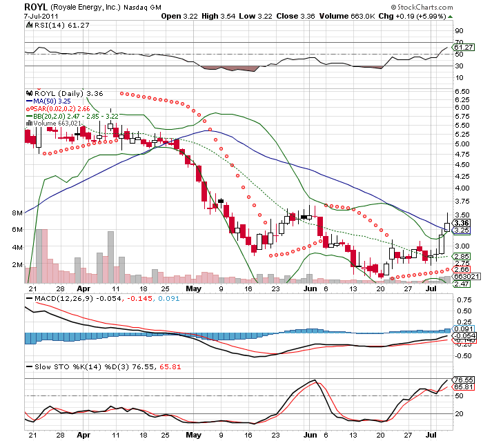 Wesleys Flugschule - US Auslese 418836