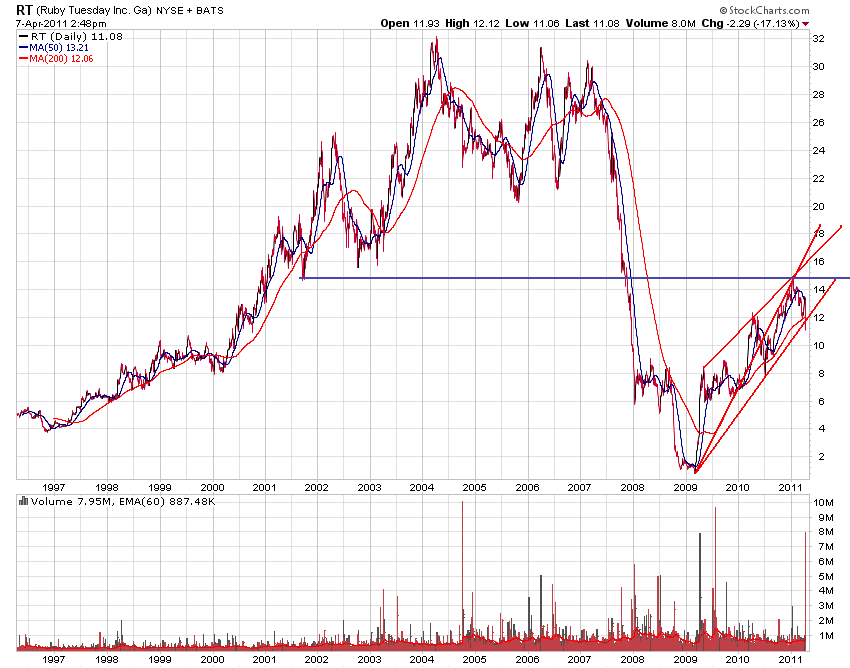 Bear Zocks - daily 394111