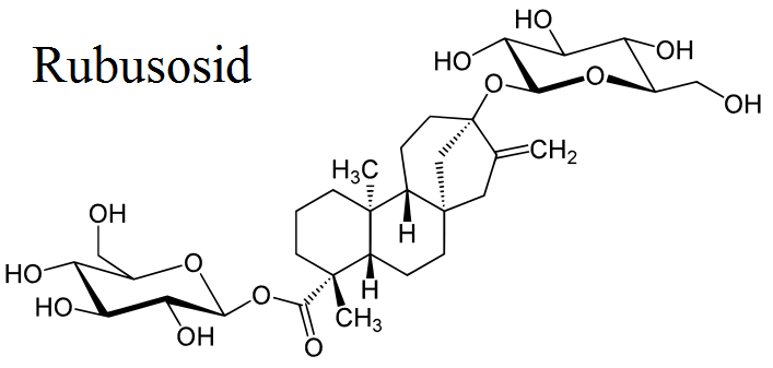 Ab hier geht ´s nach oben - Sunwin - Stevia 750174