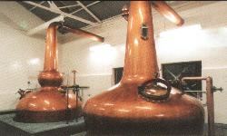 Thompson Creek Metals (Blue Pearl Mng) 84677