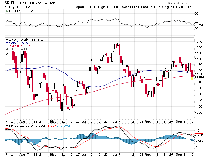 Der USA Bären-Thread 756649