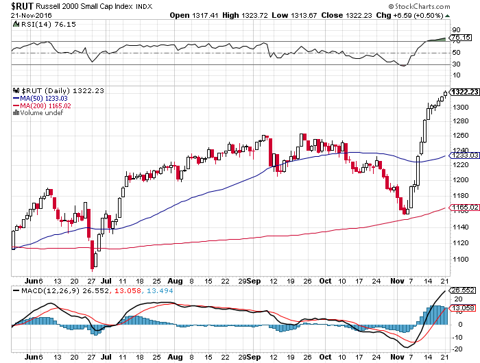 Der USA Bären-Thread 953957