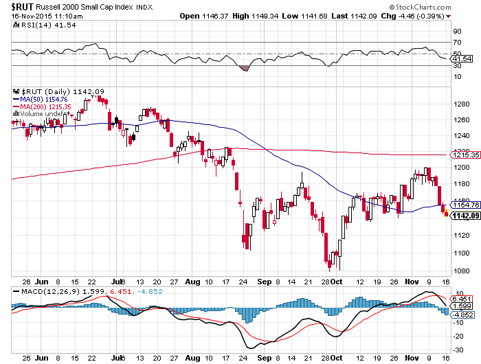 Der USA Bären-Thread 872347