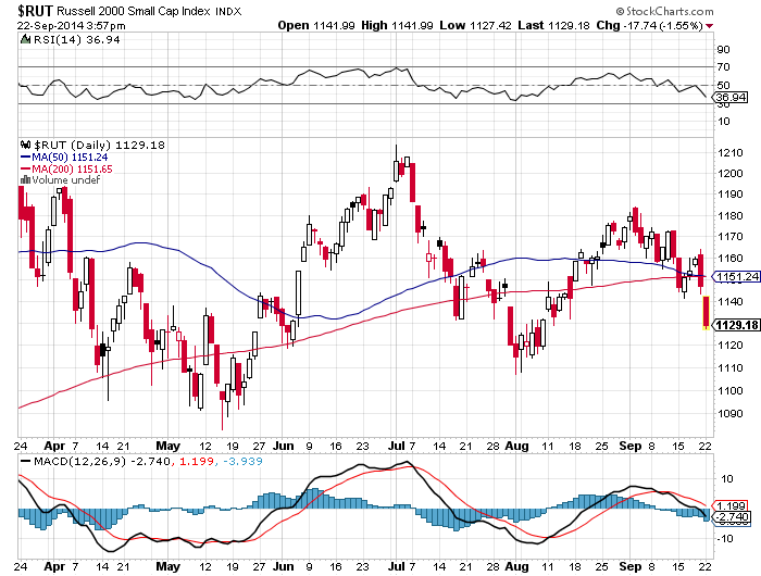 Der USA Bären-Thread 758588