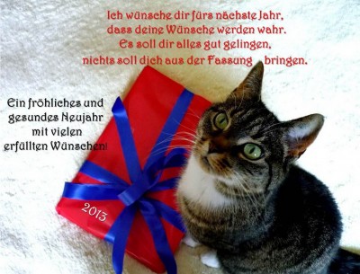 QV ultimate 2012 565111