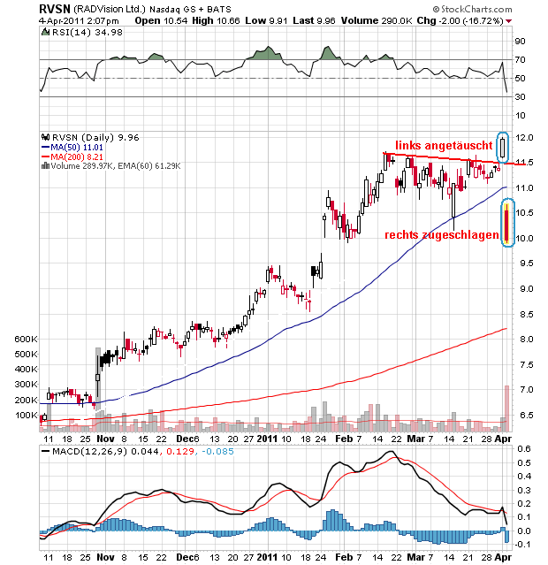 Bear Zocks - daily 393155