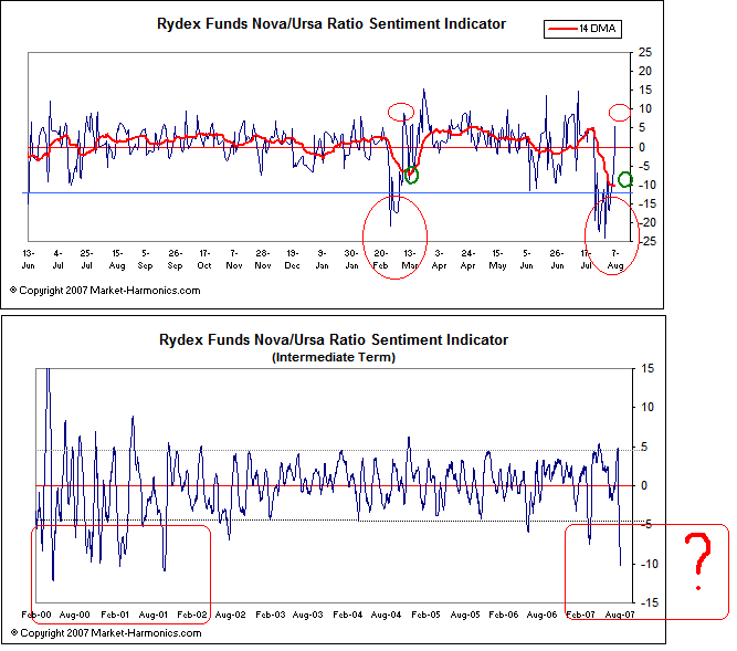 Der USA Bären-Thread 113420