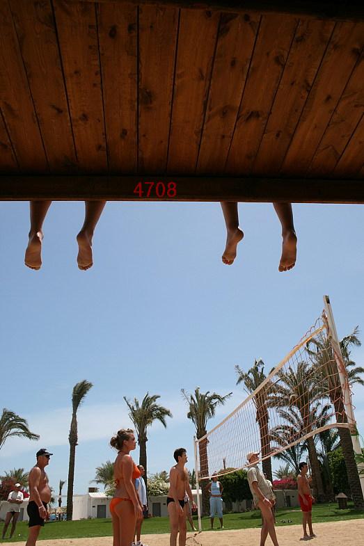 935.DAX Tipp-Spiel *Do* 11.12.08, 17.45 Uhr 204636