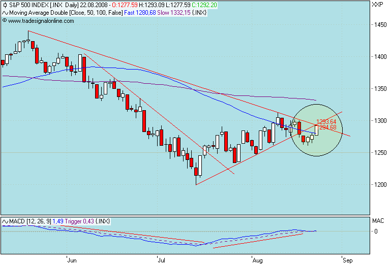 Der USA Bären-Thread 181966