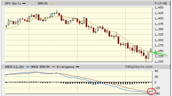 Das Bärengebrüll wird schon wieder lauter, 175496