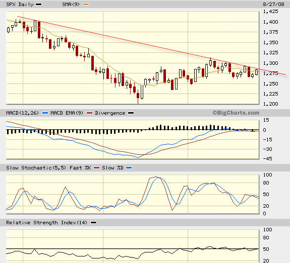 Die Bullen scharren gar nicht mit den Hufen, 182736